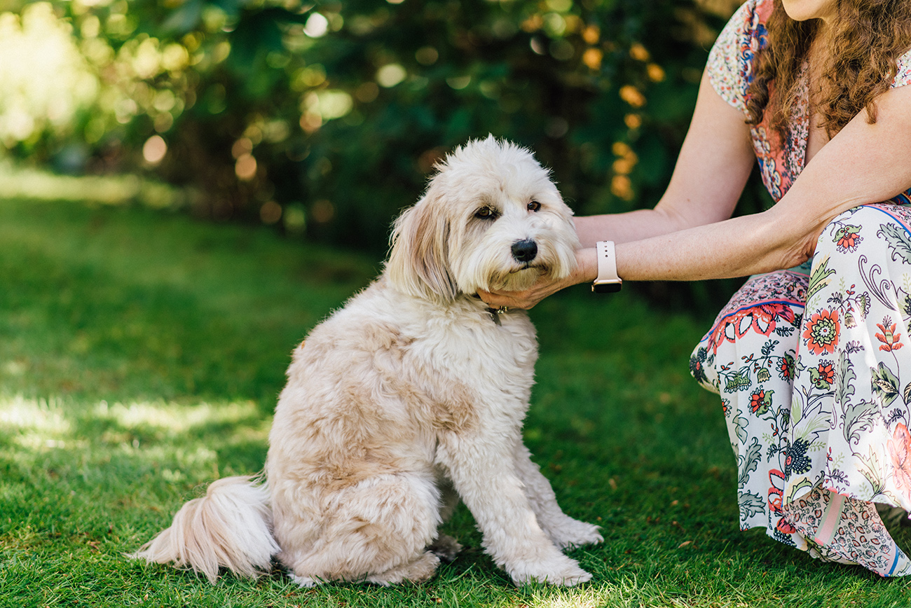 Suzannah Jackson - Nutritionist - Surrey Brand Photography